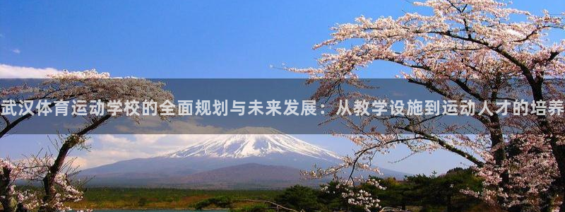 极速体育培训学校有限公司