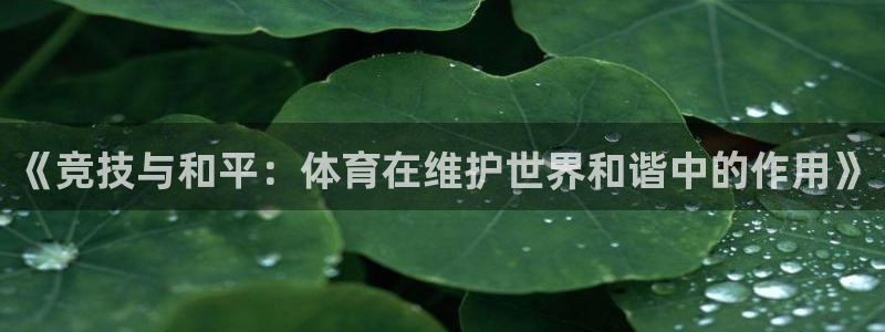 极速体育g2s：《竞技与和平：体育在维护世界和谐中的作用》