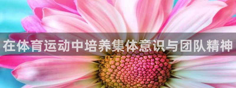 极速体育UFC