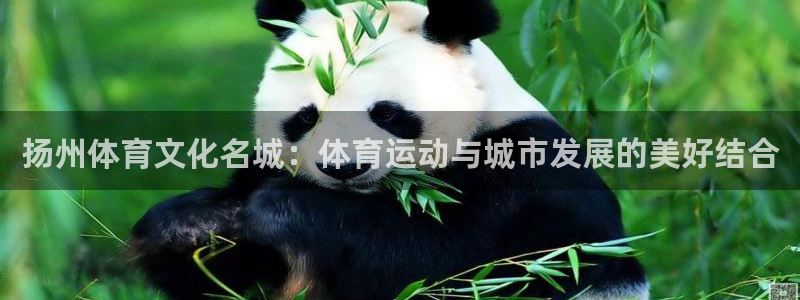 极速体育下载安装