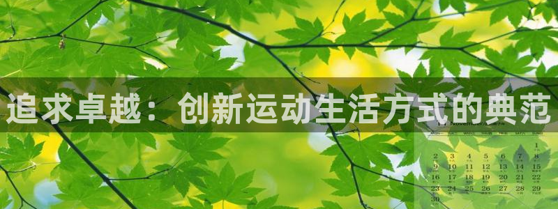 极极速体育
